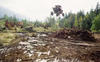 Polaris RZR XP1000 ATV: Off Road Action on a New Level
