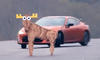 Toyota GT 86 Fails Moose Test