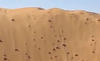 Toyota Tacoma Climbs Monster Sand Dune