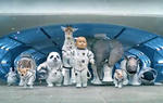 2014 Kia Sorento Space Babies Super Bowl Ad