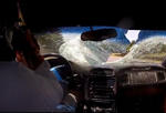 Corvette vs Deer: Windshield Looses