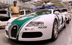 Dubai Police Shows Off Fleet