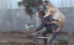 Goat Rides Guy Riding A Bike