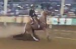 Horse Gets ABS System