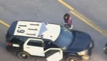 LA Police Chase Has Grand Theft Auto Ending