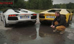 Lamborghini Aventador Roadster vs Aventador Coupe