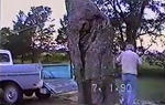 Loading a Log into a Pickup Truck: Jackass Edition