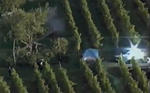 Petter Solberg Crashes At WRC Rallye de France