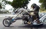 Predator Spotted Riding a Bike