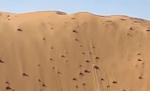 Toyota Tacoma Climbs Monster Sand Dune